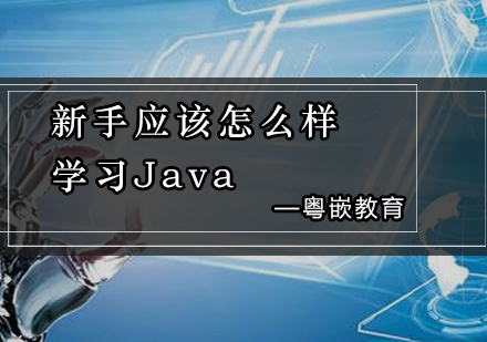 新手应该怎么样学习Java