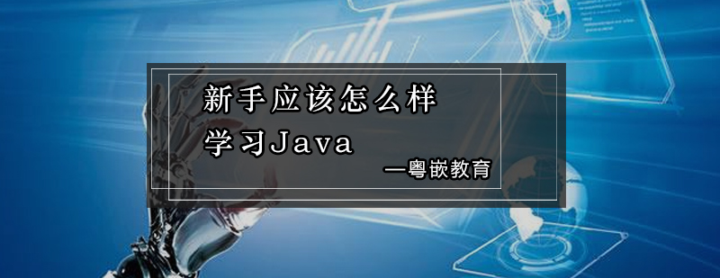 新手应该怎么样学习Java