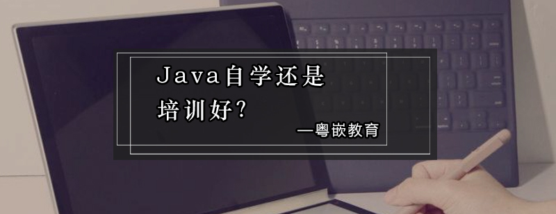 Java自学还是培训好