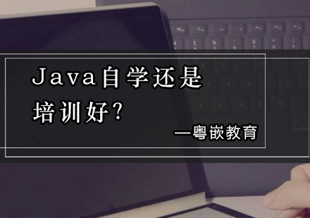 Java自学还是培训好？