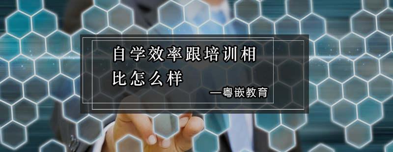 编程学习方式对比