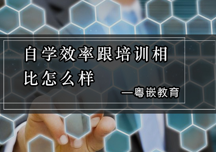 Java培训与自学效率深度解析