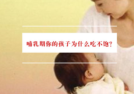 科学哺乳指南：解密乳汁分泌关键要素