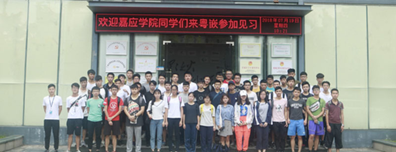 技术实训成果展示