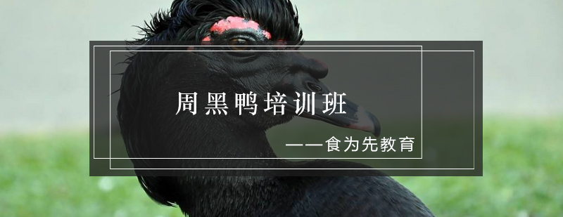 周黑鸭技术实训