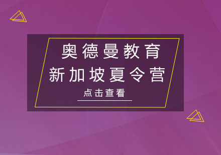 新加坡亚洲中小学生科技创新峰会夏令营培训班
