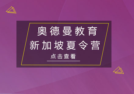 新加坡亚洲中小学生科技创新峰会夏令营培训班