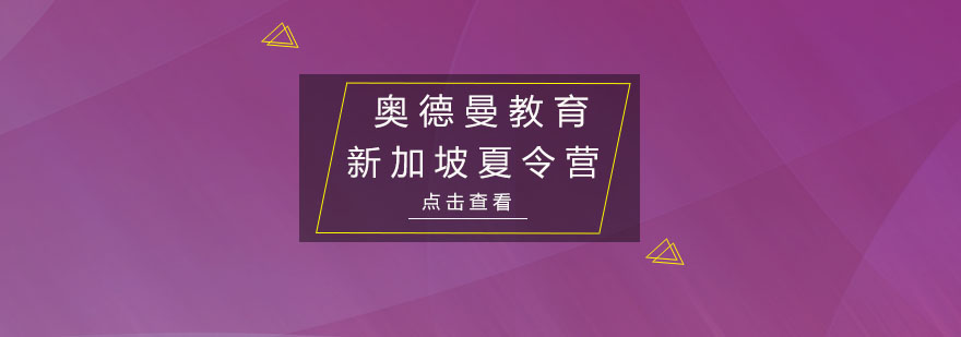 新加坡亚洲中小学生科技创新峰会夏令营培训班