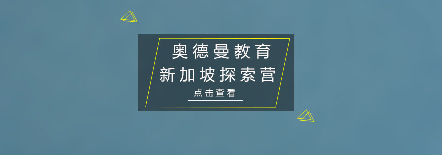 新加坡斯坦福国际学校插班文化探索营培训班