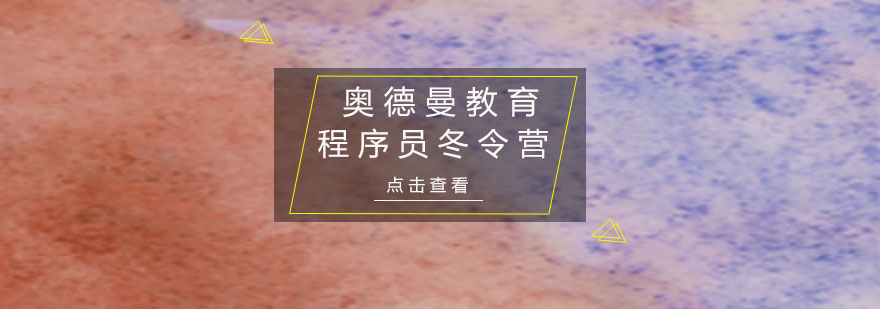 编程冬令营