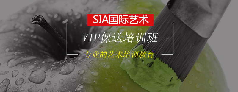 艺术筑梦计划VIP保送培训班