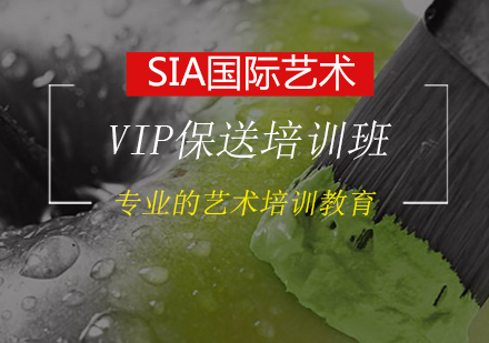 艺术筑梦计划VIP保送培训班