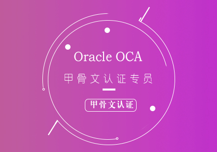 Oracle入门OCA甲骨文认证专员培训