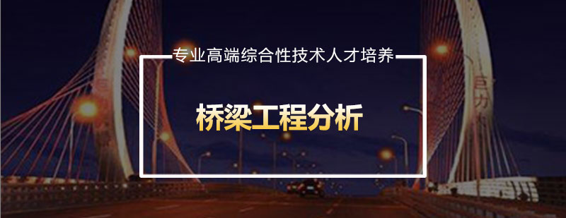 桥梁结构分析示意图