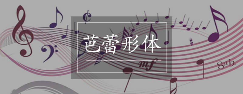 芭蕾形体训练展示