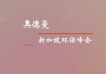 新加坡国际青少年环保峰会培训班