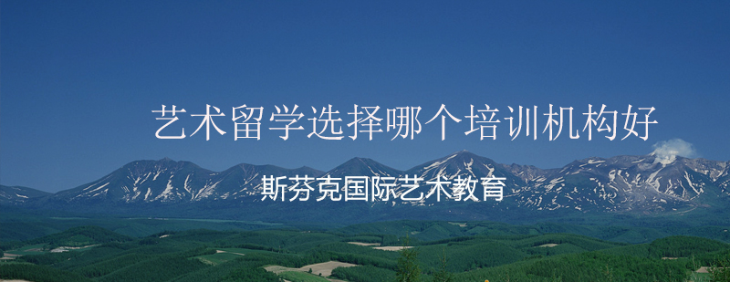 艺术培训机构对比
