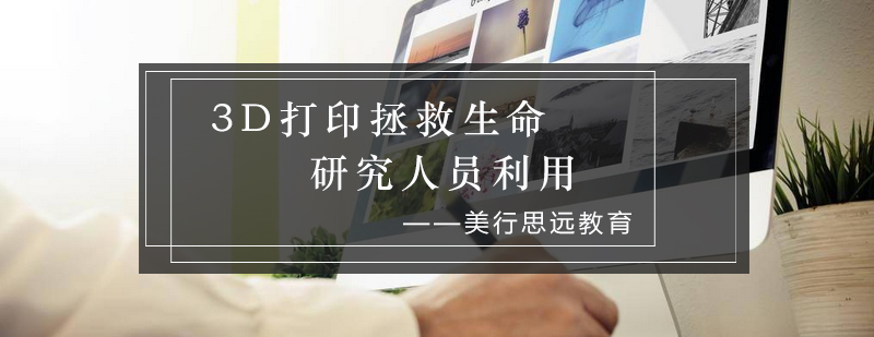 3D生物打印血管显微结构