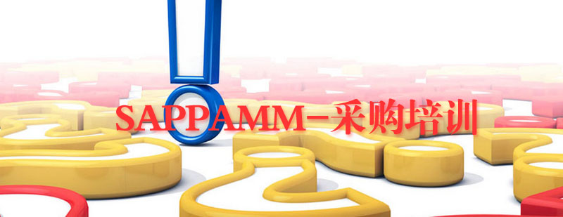 SAP采购管理系统界面