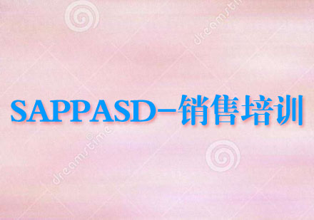 武汉SAPPASD-销售培训