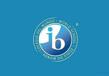 IB学科组合全攻略