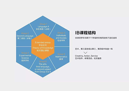 IB核心课程深度解析：EE与TOK的本质区别