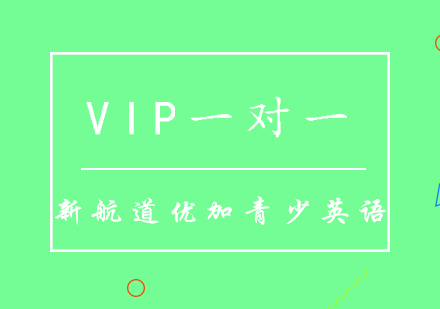 VIP一对一订制课程