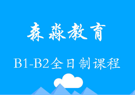 意大利语B1-B2课程