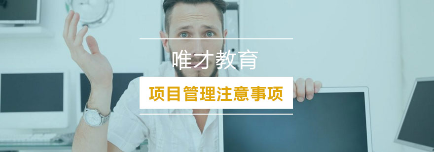 项目管理流程示意图