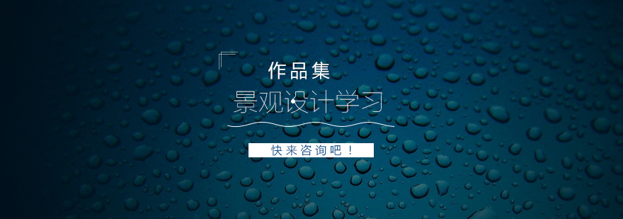 景观设计案例分析