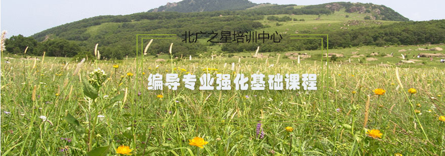 编导专业系统化教学