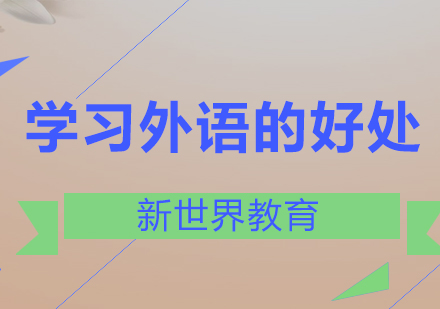 掌握多语种的优势与价值解析