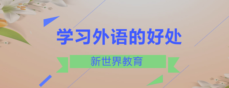 多语言学习者交流场景