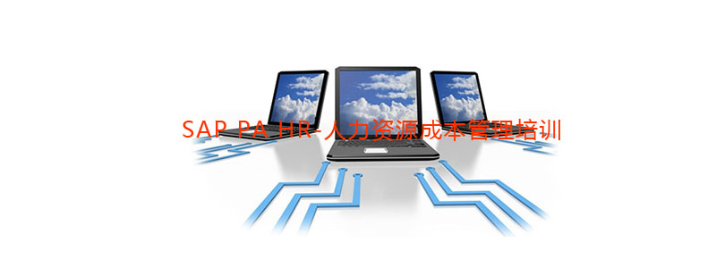 SAP人力资源管理系统操作界面
