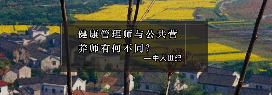 职业定位对比示意图