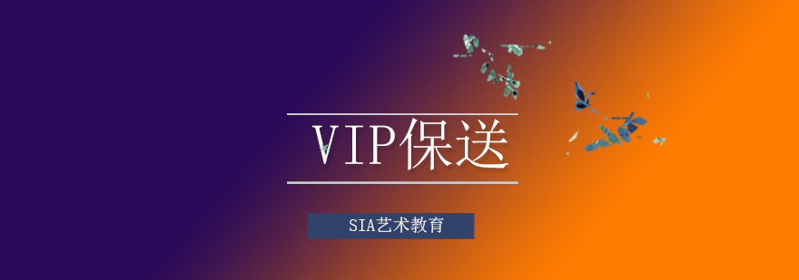 VIP保送培训