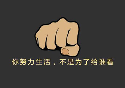 高效学习策略深度解析