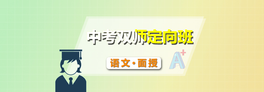 雙師教學(xué)模式圖解