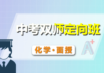中考化学双师定向班