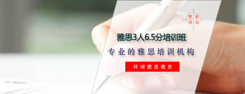 雅思小班教学实景