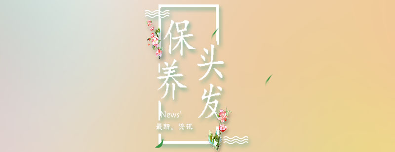 头皮微生态示意图