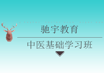 中医基础学习班