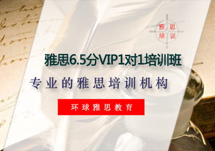 雅思6.5分VIP1对1培训班