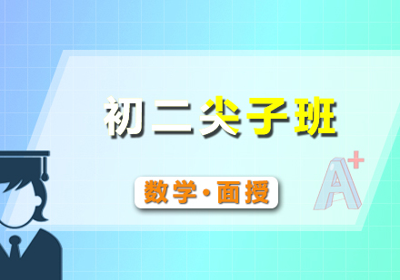 初二数学尖子面授班