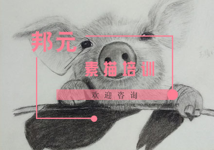南京素描培训