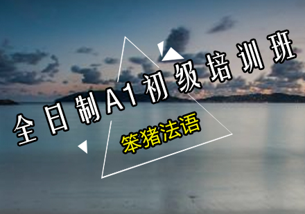 全日制A1初级培训班