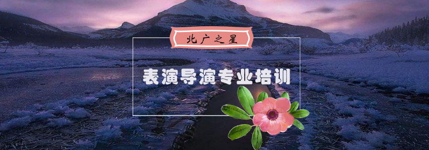 表演导演专业课程