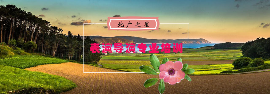 表演艺考专项训练