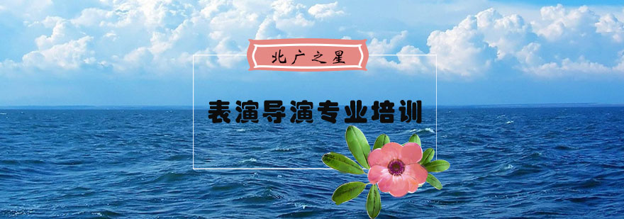 表演艺考特训课程