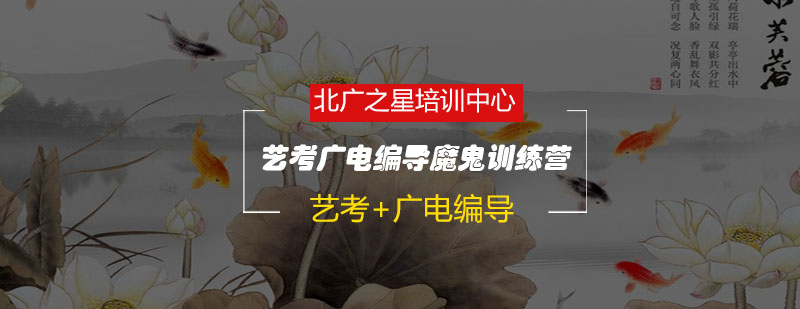 编导特训课堂实景